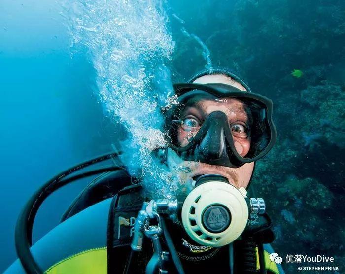 逃离金色蜜蜂森林